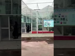 مصنع الحمض الأميني لـ (شيشوهونغ) في (شيتشوان) - لولو