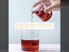 أوليغوببتيد عالي الاستقرار والأحماض الأمينية الحرة الخصب السائل مع الزنك والمنجانيز والسيليكون لتحسين أداء المحاصيل