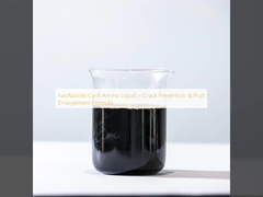 FastAbsorb Ca-B Amino Liquid    منع الشقوق وصيغة توسيع الفاكهة