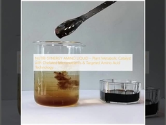 المواد الغذائية المشتركة السائل الأمينوي