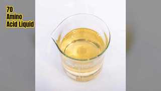 70٪ نمو محصول سائل من الأحماض الأمينية منخفض الكلور