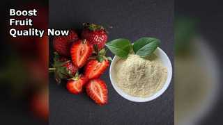 سماد الكالسيوم العضوي يعزز إنتاجية الفاكهة