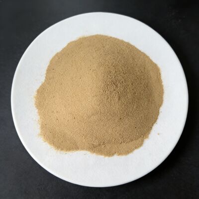 Plant Based Hydrolysate 80% Amino Acid Powder Fertilizer For Vegetables